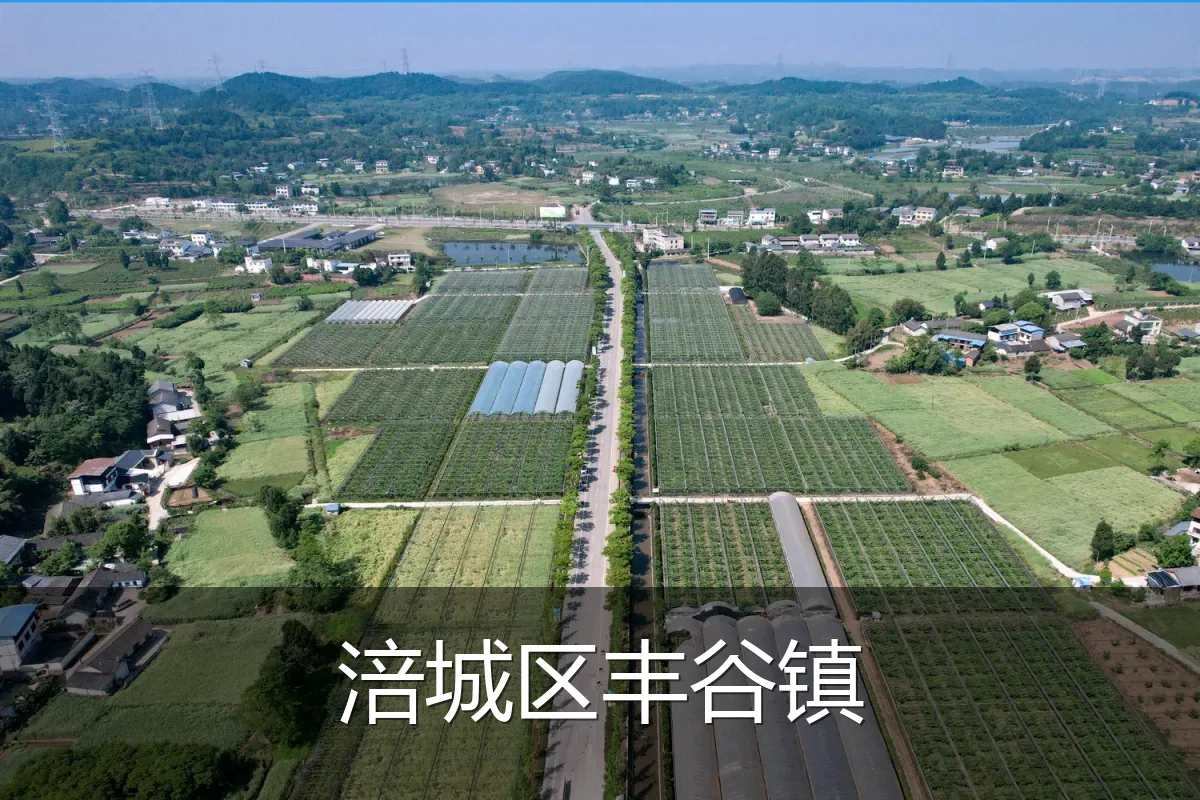 涪城区丰谷镇