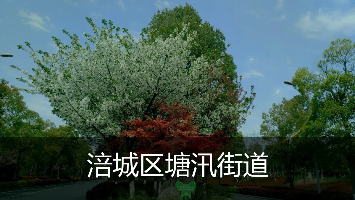 涪城区塘汛街道