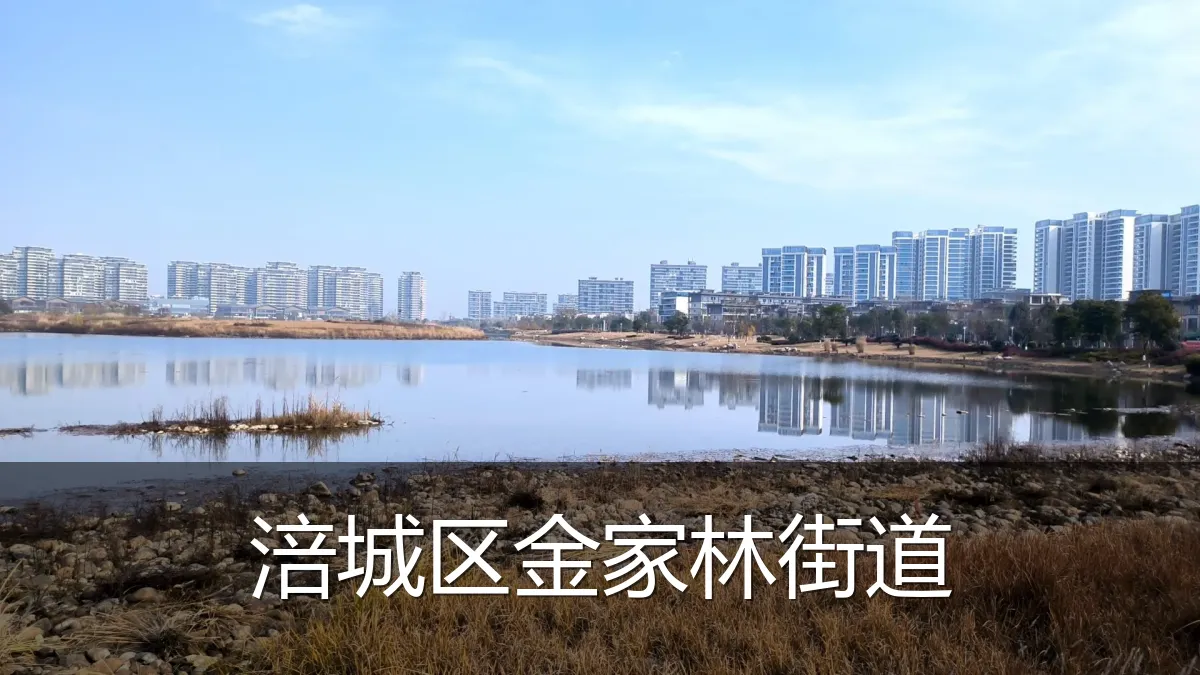 涪城区金家林街道